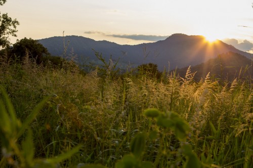 Sunset, and turning back, to return another day.