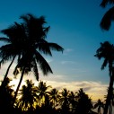 Mozambique. A journey, in retrospect, inevitable. And determining of much since.