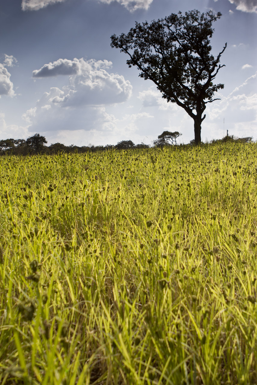 A day in Northern Uganda